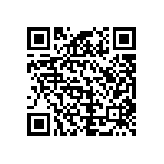 B66307G0000X127 QRCode