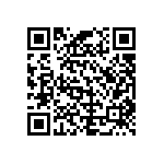 B66317G0160X127 QRCode