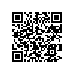 B66317G0250X127 QRCode