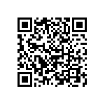 B72250L0381K100 QRCode