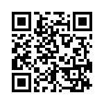 B82141B1333K9 QRCode