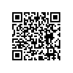 BACC63BV20B28P6H QRCode