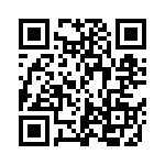 BCS-117-T-D-PE QRCode