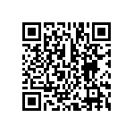 BCS-133-L-D-PE-013 QRCode