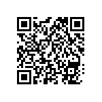 BCS-137-L-D-PE-024 QRCode