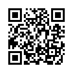 BDL-123-T-E QRCode