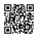 BDTS4 QRCode