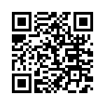 BFC233621333 QRCode