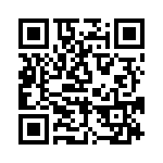 BFC233629087 QRCode