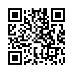 BFC233829096 QRCode