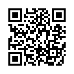 BFC233841334 QRCode