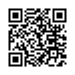 BFC233917333 QRCode