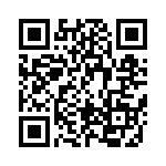 BFC233990061 QRCode