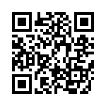 BFC237259333 QRCode