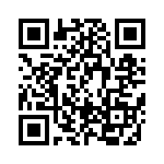 BFC238036133 QRCode