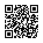 BFC238042912 QRCode