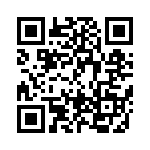 BFC238553333 QRCode