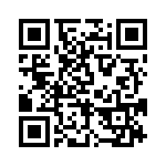 BFC241913303 QRCode