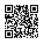 BFC242001304 QRCode