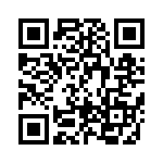 BFC242013302 QRCode