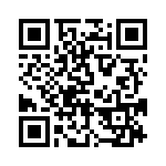 BFC242038202 QRCode