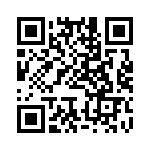 BFC242041203 QRCode