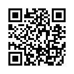 BFC246717333 QRCode