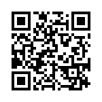 BKT-117-04-L-V QRCode