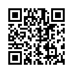 BKT-119-01-L-V QRCode