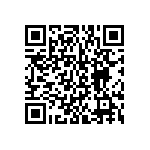 BKT-131-01-L-V-S-A-P QRCode