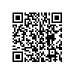 BKT-131-02-L-V-S-P-TR QRCode