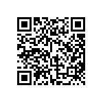 BKT-131-04-F-V-S-A-P-TR QRCode