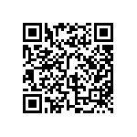 BKT-137-01-L-V-S-P QRCode