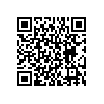 BKT-151-01-L-V-S QRCode