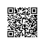 BKT-153-01-L-V-A-P QRCode