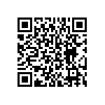 BKT-153-02-L-V-P QRCode