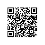 BKT-161-01-L-V-P-TR QRCode