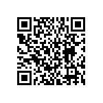 BKT-161-01-L-V-S-P-TR QRCode