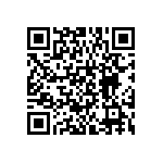 BKT-161-01-L-V-TR QRCode