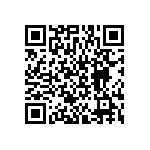 BKT-161-04-L-V-P-TR QRCode