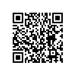 BKT-163-01-L-V-S-P-TR QRCode