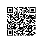 BKT-163-04-L-V-P-TR QRCode