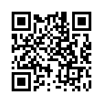 BKT-163-04-L-V QRCode