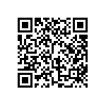 BKT-167-01-L-V-S-P-TR QRCode