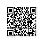 BKT-167-04-L-V-A-P-TR QRCode