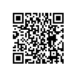 BKT-167-04-L-V-S QRCode