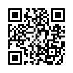 BQ24381DSGRG4 QRCode