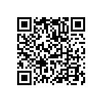 BUK9E15-60E-127 QRCode