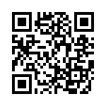 BY133GP-E3-73 QRCode