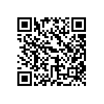 BYT28B-300-E3-81 QRCode